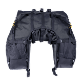 Great Basin Saddlebag