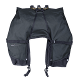 Great Basin Saddlebag