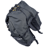 Great Basin Saddlebag