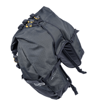 Great Basin Saddlebag