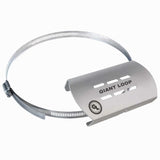 Great Basin Saddlebag