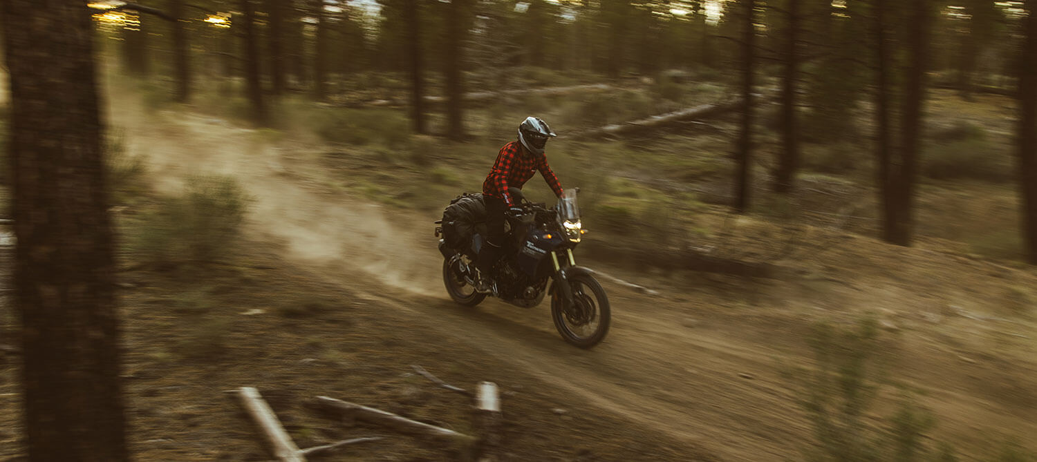 Rackless Saddlebags