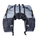Great Basin Saddlebag