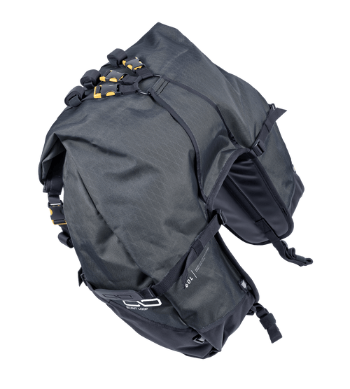 Great Basin Saddlebag