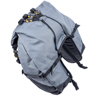 Great Basin Saddlebag